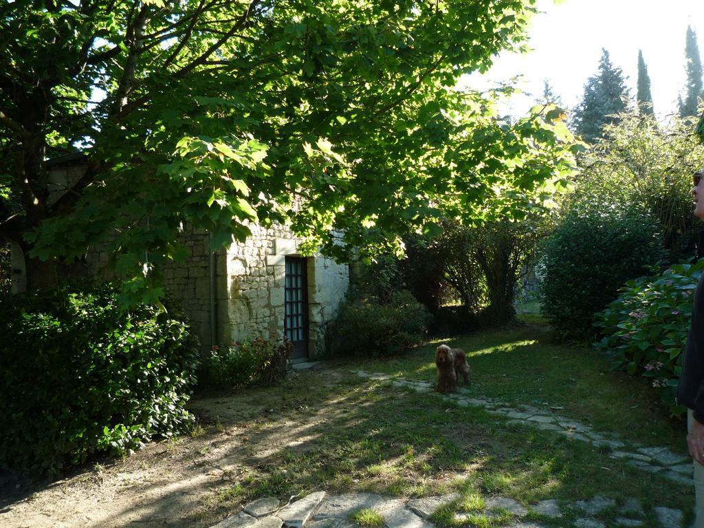 Le Logis Du Peu Girard Bed and Breakfast La Roche-Clermault Eksteriør billede