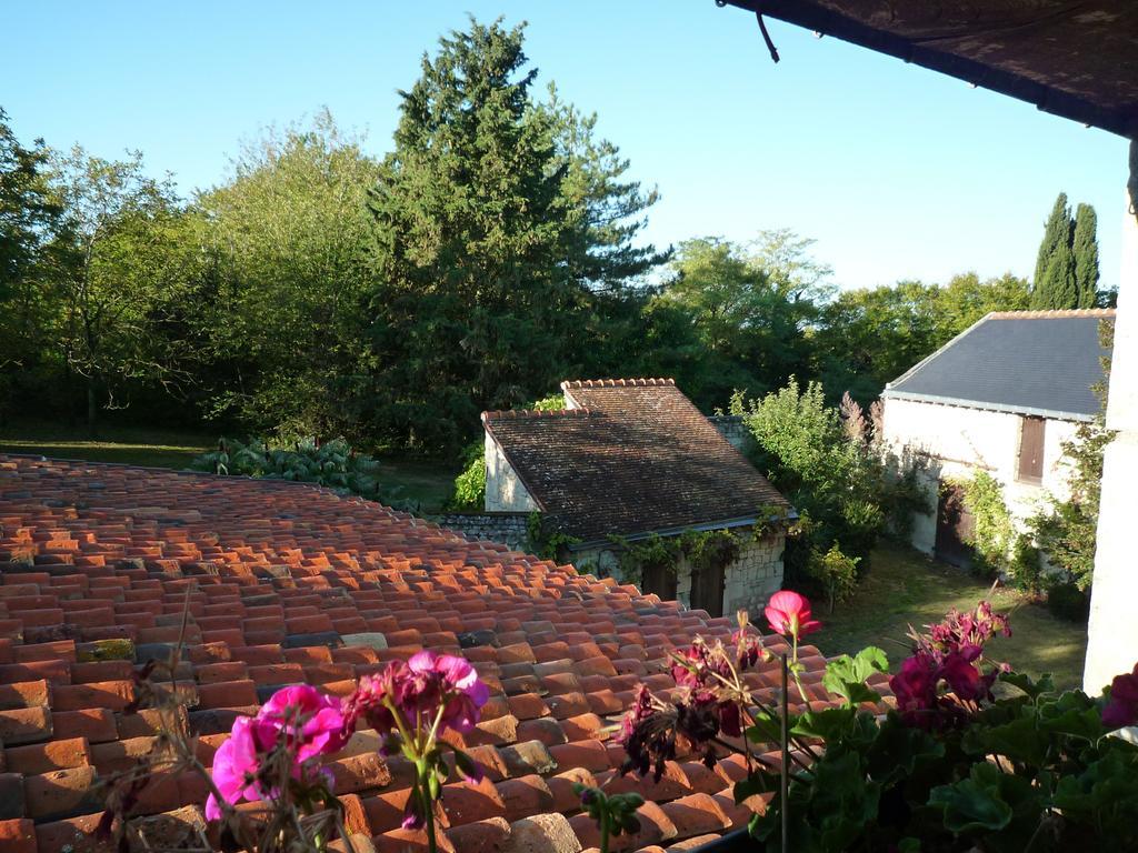 Le Logis Du Peu Girard Bed and Breakfast La Roche-Clermault Værelse billede